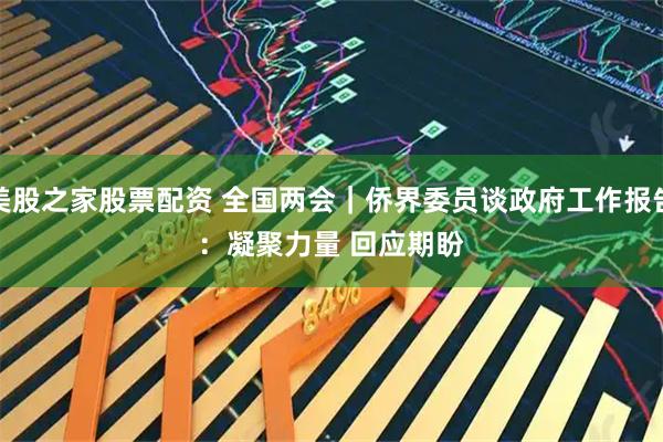 美股之家股票配资 全国两会｜侨界委员谈政府工作报告：凝聚力量 回应期盼