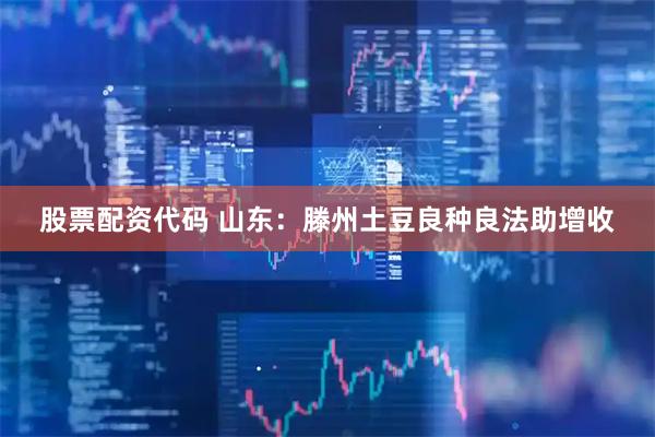 股票配资代码 山东：滕州土豆良种良法助增收