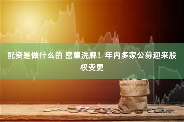 配资是做什么的 密集洗牌！年内多家公募迎来股权变更