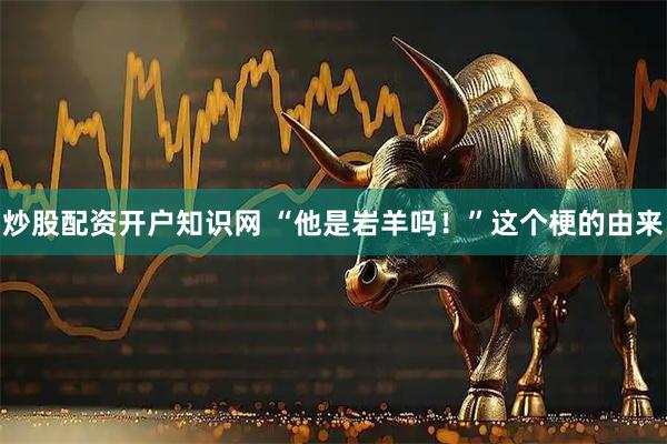 炒股配资开户知识网 “他是岩羊吗！”这个梗的由来